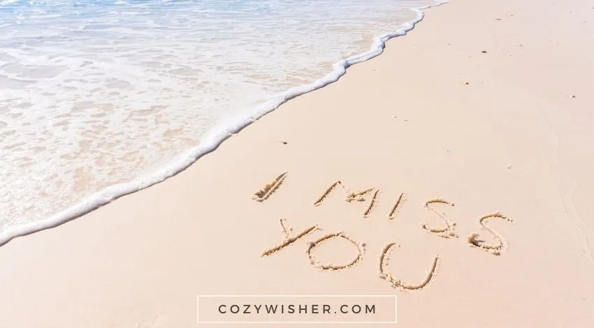 110 Heartwarming "I Miss You" Messages for Best Friend I Miss You Text