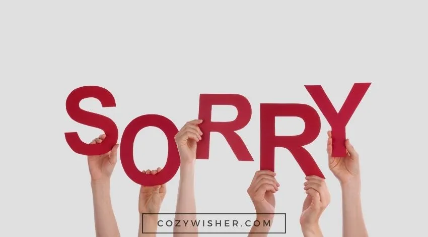 Sorry Text Messages wishes